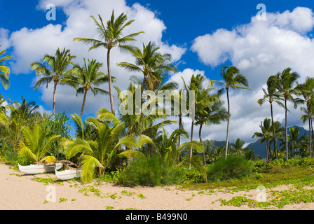 Palme e catamarano su Hanalei Beach North Shore Isola di Kauai Hawaii Foto Stock