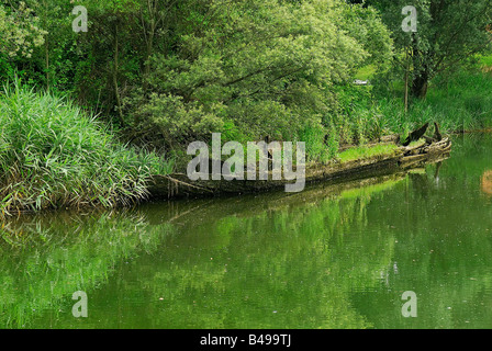 Fiume Sile,Casier, Treviso, Veneto,Italia.Il "burci' cimitero.Il "burci' erano vecchie imbarcazioni da carico Foto Stock