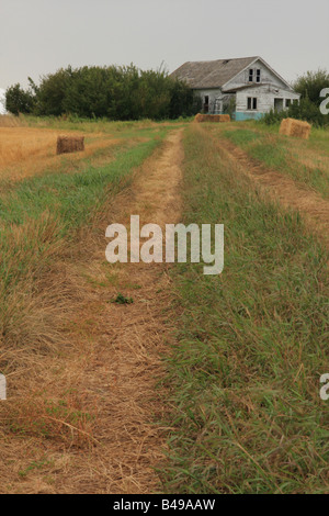 Casolari abbandonati nelle praterie, Saskatchewan Foto Stock