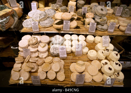 Selezione di fine formaggio di capra per la vendita Foto Stock