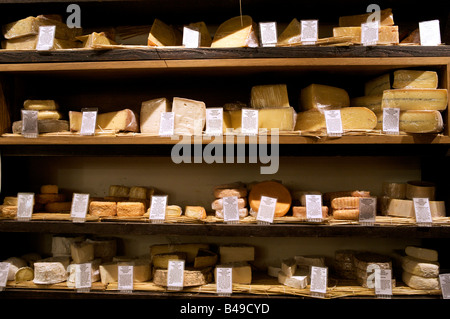 Selezione di ottimi formaggi in vendita nel formaggio refrigerate camera , Londra Foto Stock