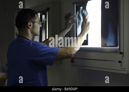 Medico guardando un'immagine a raggi X Foto Stock