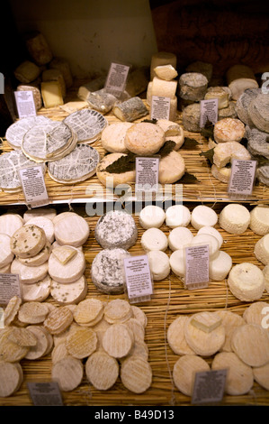 Selezione di ottimi formaggi in vendita nel formaggio refrigerate camera , Londra Foto Stock