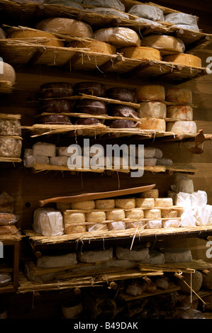 Selezione di ottimi formaggi in vendita Foto Stock