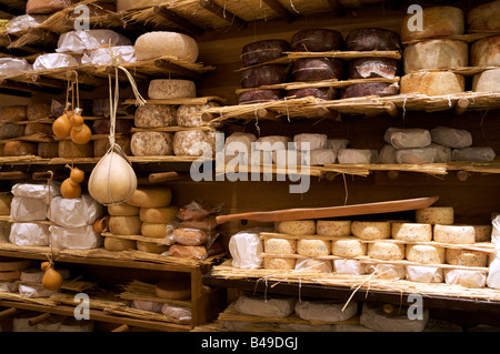 Selezione di ottimi formaggi in vendita nel formaggio refrigerate camera , Londra Foto Stock