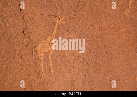 Pitture rupestri a Twyfelfontein Namibia Foto Stock