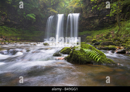 Sgwd yr Eira cascata con stelo di felci e muschi coperto le rocce in primo piano in Brecon Beacon National Park, il Galles in settembre. Foto Stock