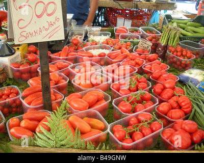 Cestini di pomodori freschi (pomodori) in vendita presso il Campo de Fiori mercato mattutino in Roma, Italia Foto Stock