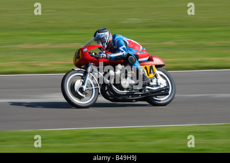 Gareth Jones in sella alla MV Agusta 500-4 a Goodwood Sale Riunioni Foto Stock