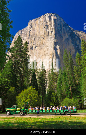 Tour della valle in tram sotto El Capitan Yosemite National Park in California Foto Stock