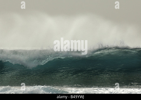 Onde sull'Oceano Atlantico, Adeje, Spagna Foto Stock