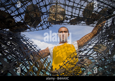 Perle di estrazione Pearl Farm in Rangiroa Polinesia Francese Foto Stock