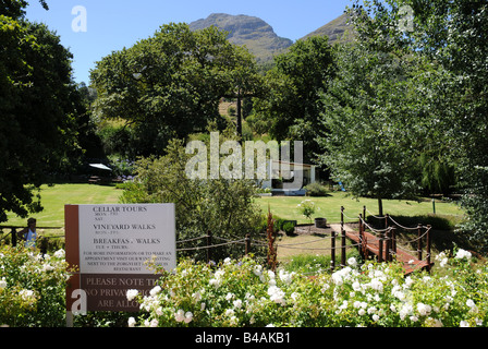 Geografia / viaggi, Sud Africa, azienda vinicola Zorgvliet, parco con Coffee House, tra Stellenbosch e Franschhoek sulla Strada del Vino, Additional-Rights-Clearance-Info-Not-Available Foto Stock