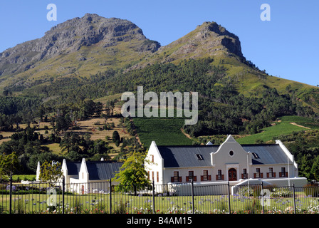 Geografia / viaggi, Sud Africa, azienda vinicola Zorgvliet, vista verso la montagna e vigna vicino a Stellenbosch, Strada del Vino nei pressi di Città del Capo, Additional-Rights-Clearance-Info-Not-Available Foto Stock