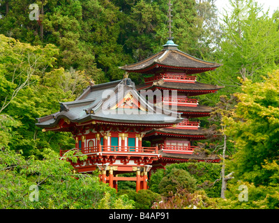 Giardini Giapponesi del The Golden Gate Park Foto Stock