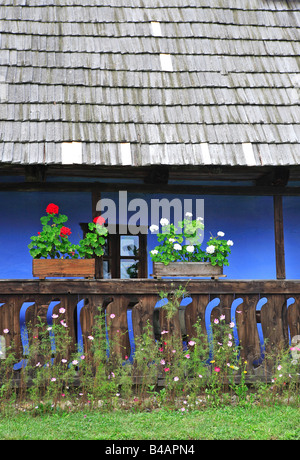 La Romania, Transilvania, Sibiu, Astra open-air Museum Foto Stock