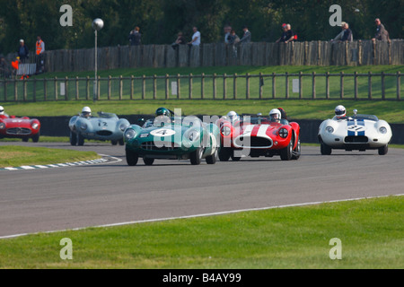 Classic Sports Cars Racing alla 2008 Goodwood sale riunioni Foto Stock