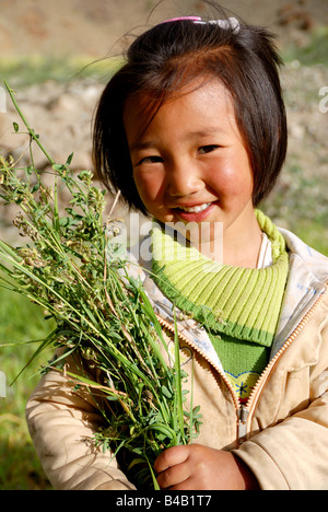 Ragazza Ladakhi,Hemis,Ladakh,l'India,Jammu e Kashmir Foto Stock