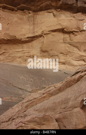 Antichi graffiti sulla roccia, Wadi Rum, Giordania Foto Stock