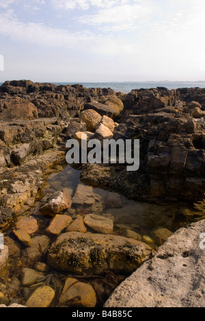 La costa rocciosa a Beadnell Northumberland Inghilterra Foto Stock