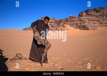 La rottura di legno per fare fuoco per cuocere a Jebel Acacus, il Deserto del Sahara, Libia Foto Stock