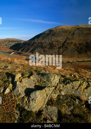 Vista autunnale in Ingram Valley, vicino a Wooler, Northumberland National Park Foto Stock