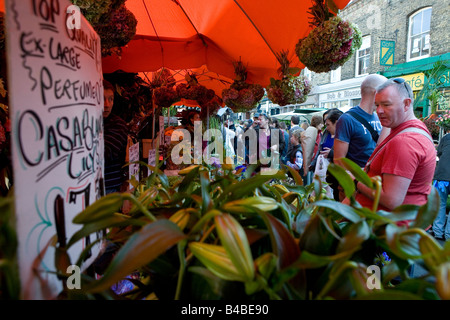 Colombia Rd il mercato dei fiori Foto Stock