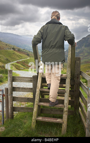 L uomo che si arrampica sul montante della scala, Snowdonia, Galles Foto Stock