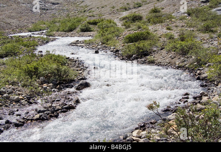 Ruscello di montagna con acqua glaciale nelle montagne rocciose canadesi - Parco Nazionale di Banff, Canada Foto Stock