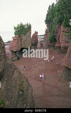 Una vista di Hopewell rocce sulla Baia di Fundy a bassa marea Foto Stock