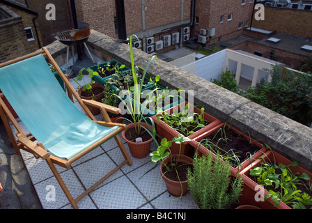 Insalate e verdure che crescono in vasi di plastica sul tetto vegetale Urbano garden Londra Foto Stock