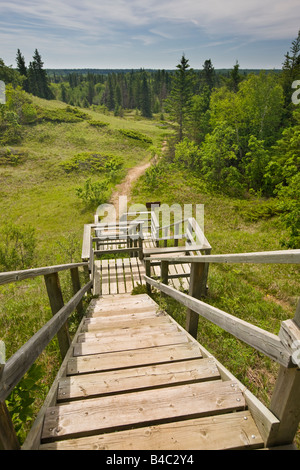 Scale e trail nello spirito Sands, boschi di abete rosso Parco Provinciale, Manitoba, Canada. Foto Stock