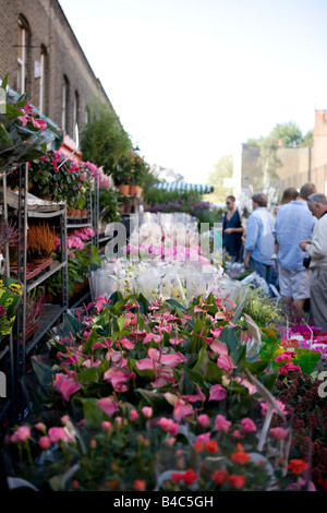 Colombia Rd il mercato dei fiori Foto Stock