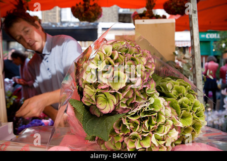 Colombia Rd il mercato dei fiori Foto Stock