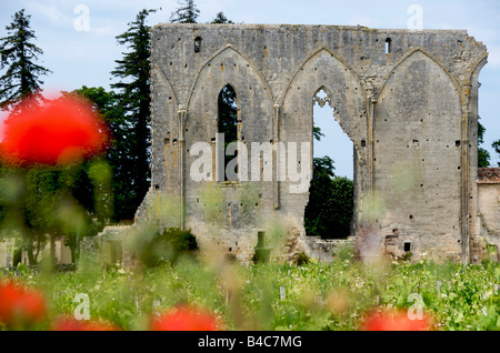 Vigneto di Château Les Grandes Murailles, Saint-Émilion, Gironde Bordeaux, Francia, Europa Foto Stock