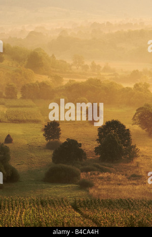 Campagna vicino a Curtea de Arges, Valacchia, Romania Foto Stock