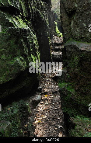 Chiesa Luds Peak District Staffordshire Foto Stock