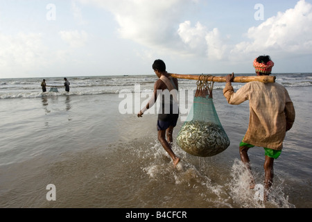 Un pescatore impegnato in attività di pesca a Digha,West Bengal,l'India Foto Stock