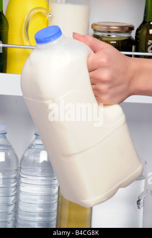 Mettere il latte in plastica BOTTIGLIA IN FRIGORIFERO Foto Stock