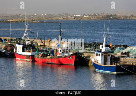 Porto di Roundstone nella luce della sera, Connemara, Irlanda Foto Stock