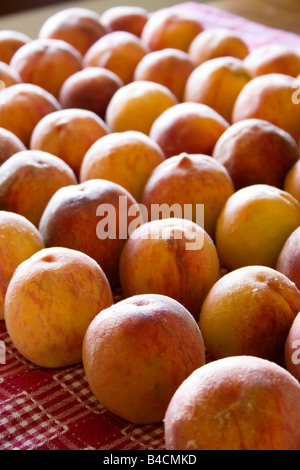 Pesche steso su una tovaglia per maturare Foto Stock