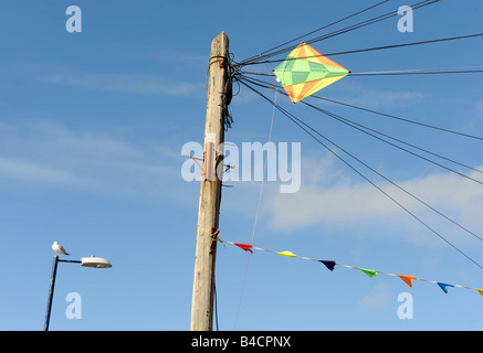 Un aquilone catturati nei fili del telegrafo sul fronte spiaggia a BORTH IN CEREDIGION West Wales UK Foto Stock