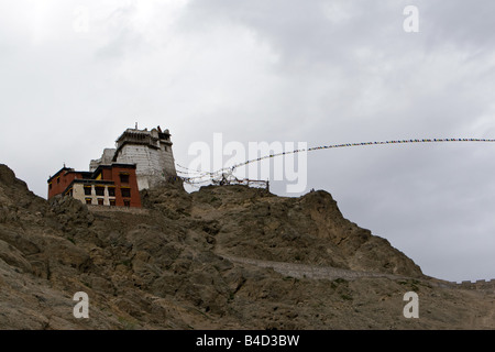 Namgyal Tsemo Gompa in Leh, Ladakh Foto Stock