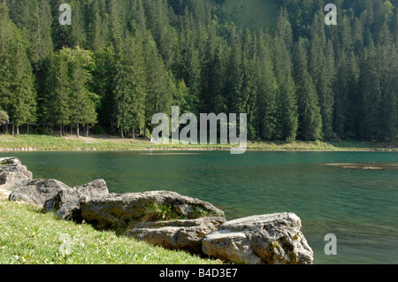 Lago Lac de Montriond sulle Alpi francesi Foto Stock