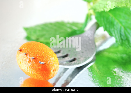 Fresche, refrigerate kumquat con menta su un sfondo riflettente con una profondità di campo ridotta Foto Stock