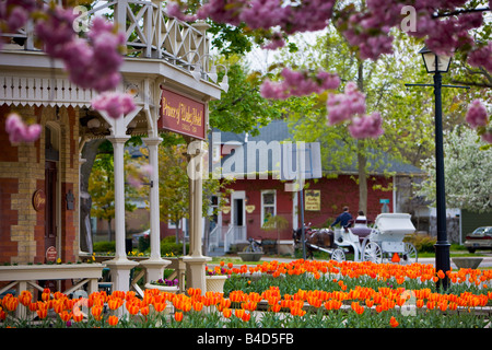 Cavallo e carrozzella fuori del Principe di Galles Hotel (costruito nel 1864) circondato da coloratissimi fiori tulip, Tulipa Foto Stock