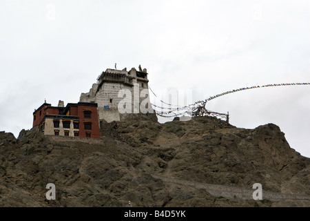 Namgyal Tsemo Gompa, leh, ladakh Foto Stock