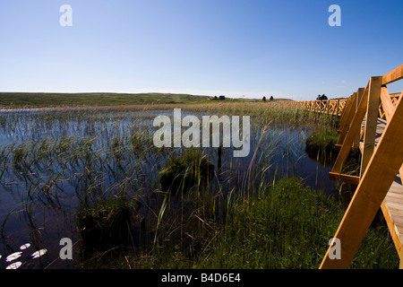 Guardando sul Loch Finlaggan alle rovine sulla Eilean Mor Foto Stock