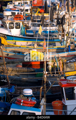 Il granchio di piccole imbarcazioni da pesca, Brighton Marina Foto Stock