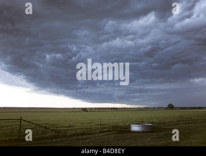 La balena è funzione della bocca al di sotto del ripiano nube di un forte temporale si sposta al di sopra di terra di pascolo vicino a Grady, Oklahoma Foto Stock